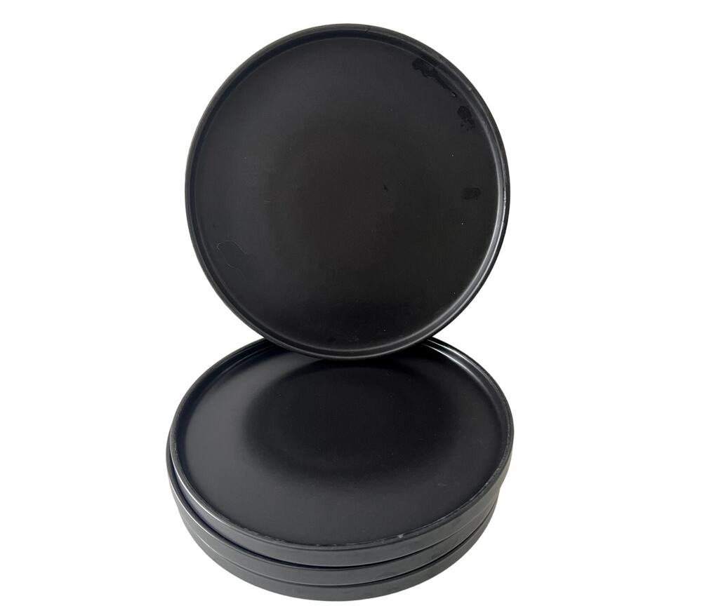 Stone + Lain Stoneware Set Of Four 4 Plates Stackable Dishwasher Microwave Safe